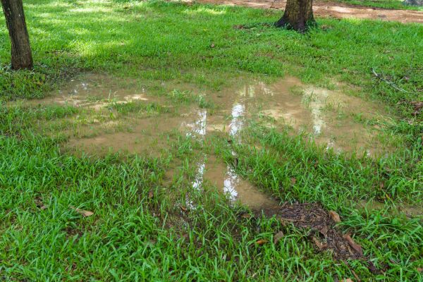 Storm Water Drainage Service in Mansfield