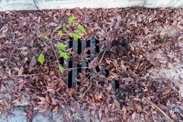 Yard Drain Unclogging in Mansfield