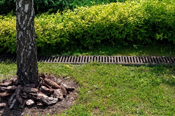 Wet Yard Drainage in Mansfield