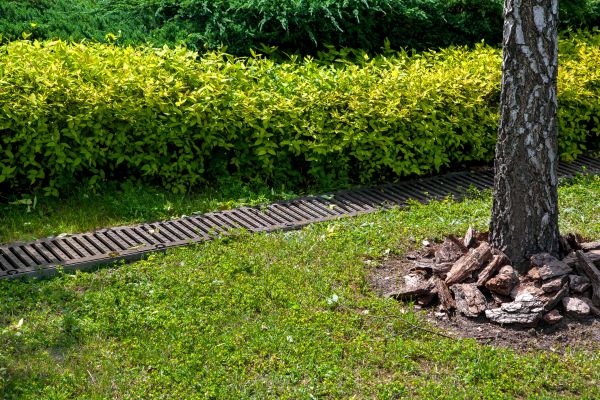 Residential Landscape Drainage in Mansfield