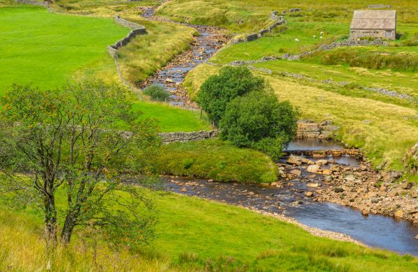 Swale Repair in Mansfield